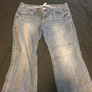 Maurices 13/14 Capris